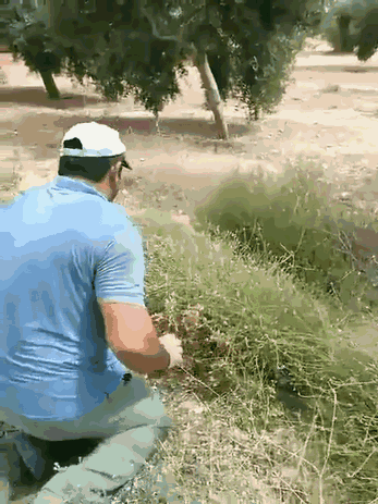 a8d98d7a34f8d277c68d98975c1