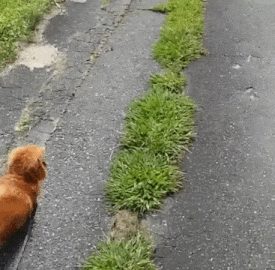 1442141509_1414881416