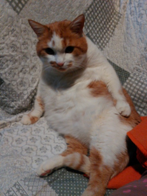 image-e12f26f44b9f8338e52cb8e5e37257e1e432d0919f0b651288d82e6233d0f3d1-V