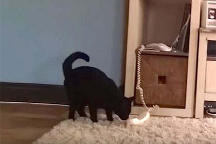 pic_328f031b13fb15912648abf2e3d33dda