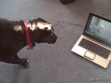 1d665d6f1fc4f6c3f14be1ba19f61b38