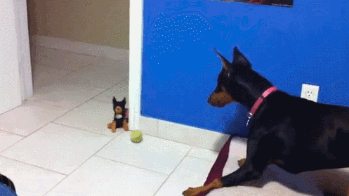 62c33a0c046694430f9e075f7db02dd3