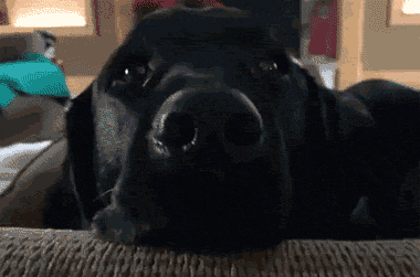 0911269b9f08fcb5dfa9d0ea77b82686