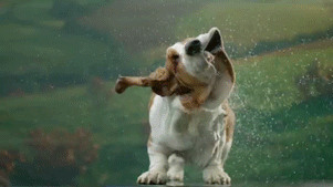 giphy (11)