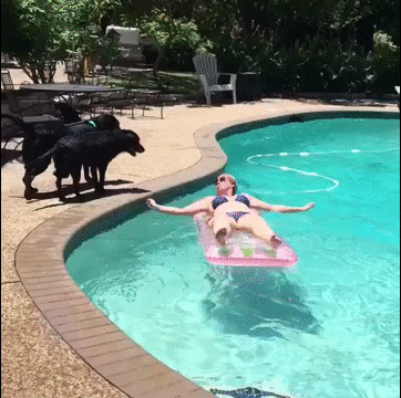1438707890_is-it-play-time-we-play-yes-play-imgur