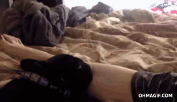 b78cf5b4ec5930892189f2441c9