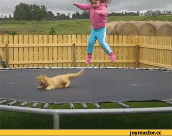 82e815dfaafb188fad53a2fd86a