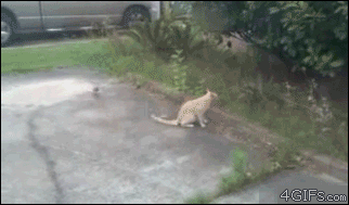 Karma-is-a-Bitch-09-10