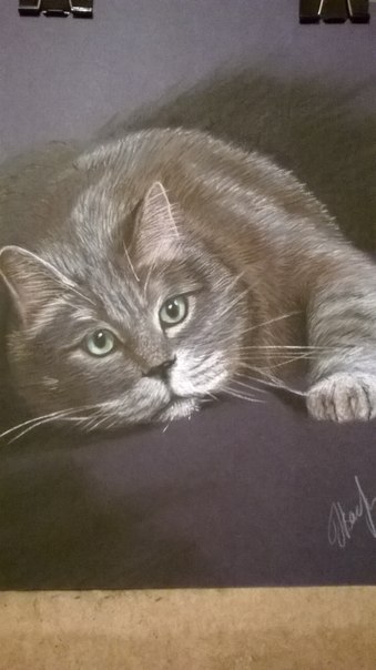 Картины пастелью