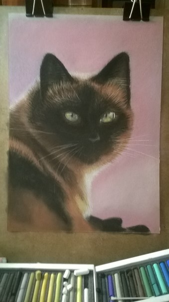 Картины пастелью