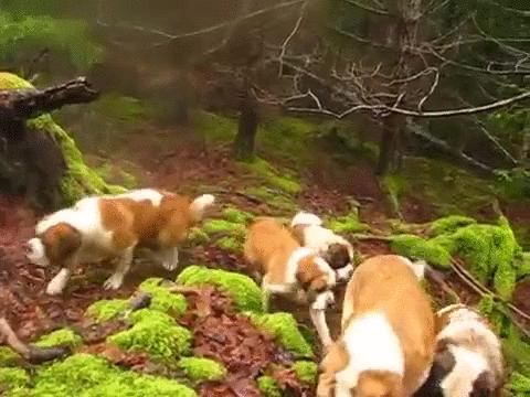 Didn't know heaven had so many saints. - Imgur