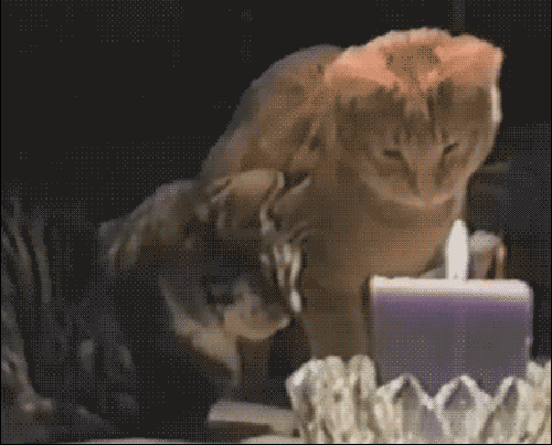 1_gifs_09