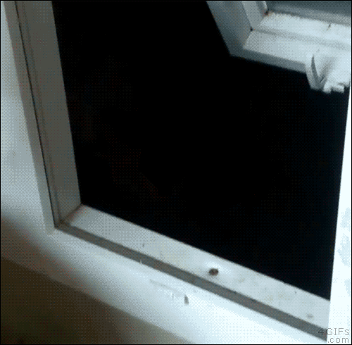 1_gifs_07
