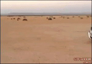 1713535f108bd7fc6f9c2cf861c