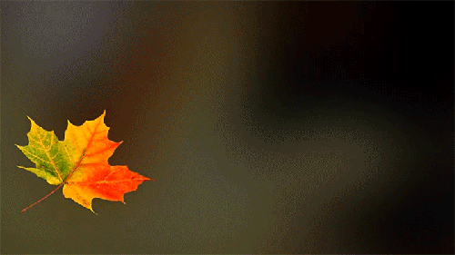 0_12ce7d_c8beffc9_orig