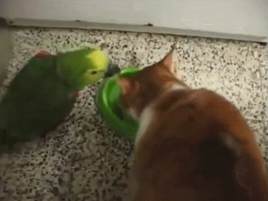 647c73e1425e7679c8bb5e07369