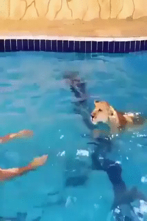 _20_mp