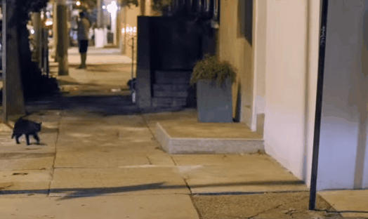 02a2b8350ed2623d8fa1655bee9