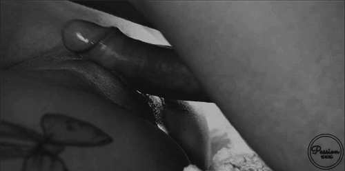 tumblr_nmbhvswgoV1u3v7ubo1_500