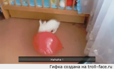 по газам