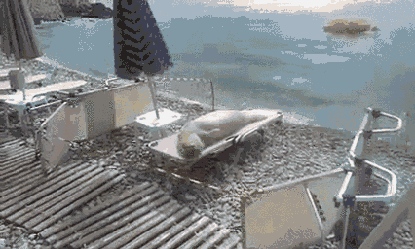 1443991482_611222851