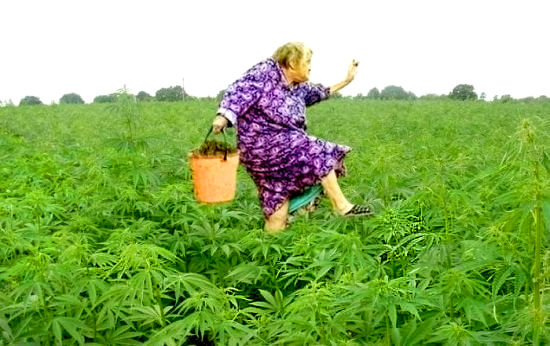 5ebe6335115ade27e623dc4ca89705d6