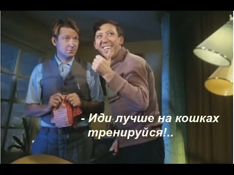 ЦЫ