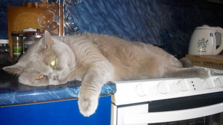 2015-04-03 09-40-52_457x257 измененный