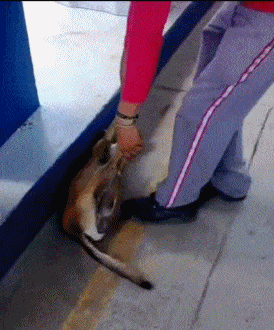 1444290911_1050930045