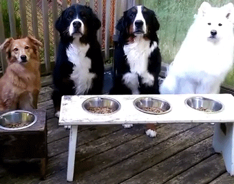 1444544527_870211622