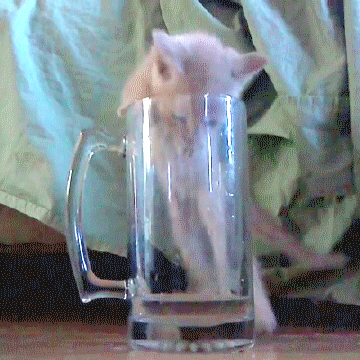 В понедельник с утра