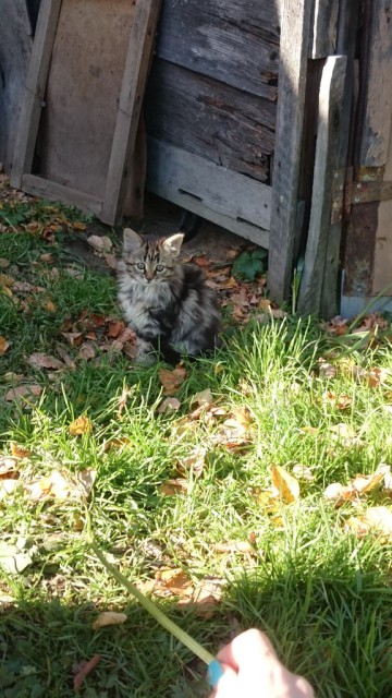 Буся (девочка)