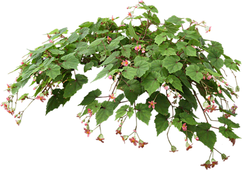 0_77cc3_7063d208_L_yapfilesru_zps3335ecda