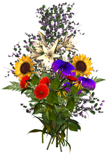 forum_eylemce_i_ek_228