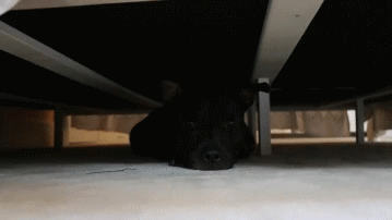 1The_monster_under_my_bed_Imgur_yapfiles.ru