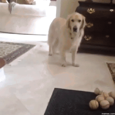 76312a28d7d862c67a528bc574f