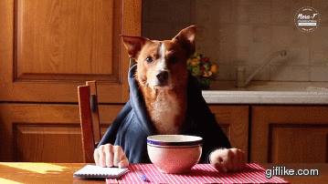 daily_gifdump_927_19