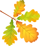 116871405_large_19__2_