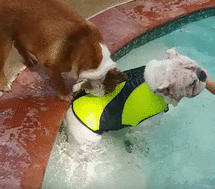 1445096742_1821512255