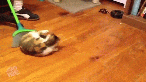 1445162435_1879815052