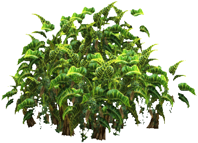 plant-psd-415547kb49