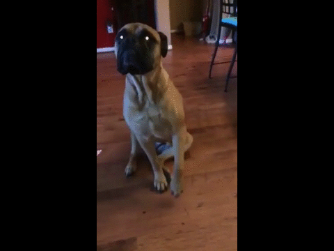 1445193510_606857249