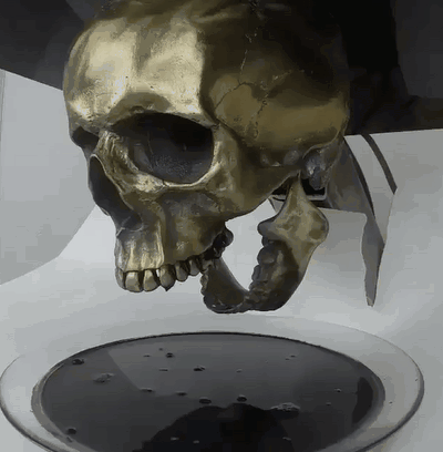 Феромагнитный череп