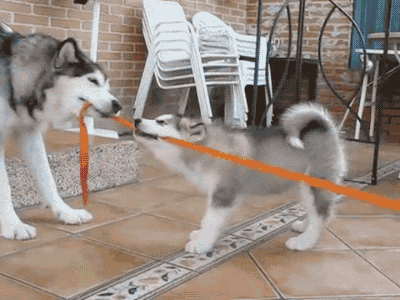 tumblr_nwfhz2yCkC1s02vreo1_400