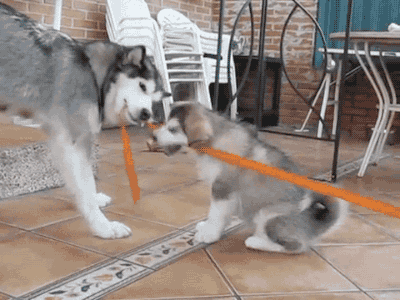 tumblr_nwfhz2yCkC1s02vreo3_400