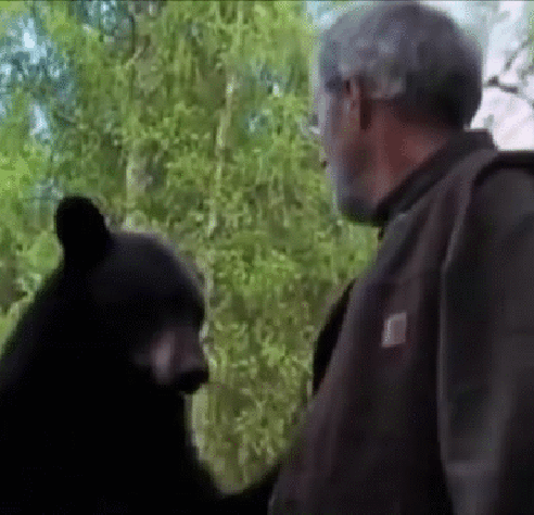 bf90f0d373bdfc12c7df5aae106