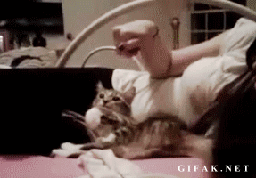 1106214344_970560815