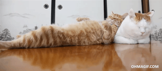 009_Acid Gifdump, February 26, 2015 (25 gifs)