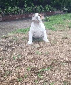 1445439563_640891898