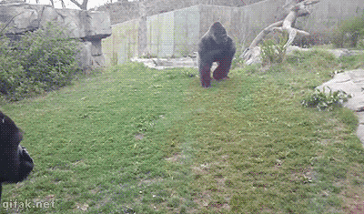 8e2f689b8ee18cc70869f317b1d